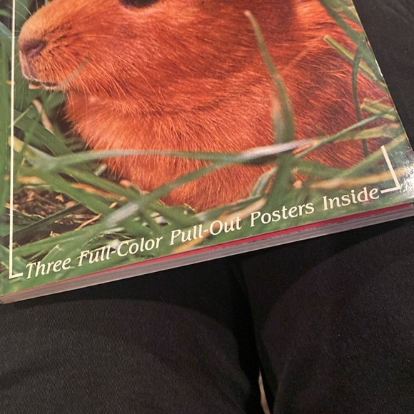 “Guinea Pigs,” Paperback - Picture 4 of 4